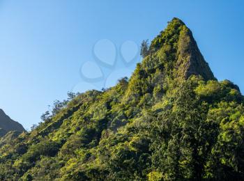 Steep tree covered mountain ridge rises above the Nu'uanu Pali lookout in Oahu