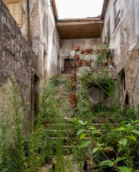 Old home in the town of Viseu in Portugal with overgrown garden and yard