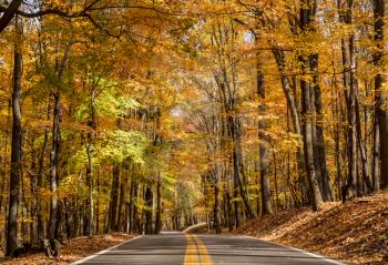 Paved road leading to the Coopers Rock state park overlook in the autumn near Cheat Lake near Morgantown, WV