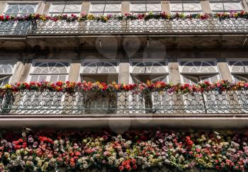 Flowers along the front and balconies of apartments and homes in downtown Porto