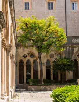 Courtyard and cloisters of Franciscan Monastery in the old town of Dubrovnik in Croatia