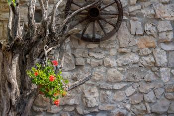 Dead tree branches and cartwheel on stone farmhouse wall with red geranium flowers