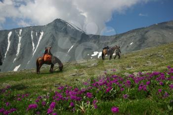 Orlov village, Altai, Russia - June 29, 2016: People with horses Horses walk and graze