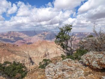 The Grand Canyon. Views of the canyon, the landscape and nature.