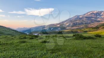 Flora of Kamchatka. Forests and fields. Nature of Kamchatka. Landscapes and magnificent views of the Kamchatka Peninsula.