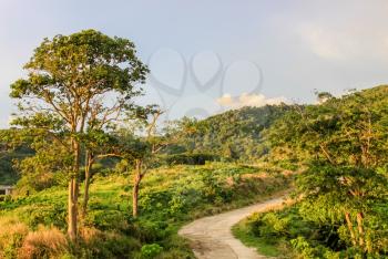 Forests on the hills of the island of Phuket in Thailand. The nature of Thailand.