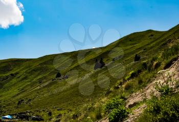 Mountain landscape with grass in the hills. Mountain landscape. Mountain vegetation.