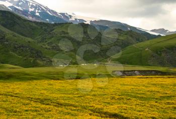 Mountain landscape with grass in the hills. Mountain landscape. Mountain vegetation.