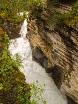 Mountain river in Canada, pristine nature. Canadian landscape