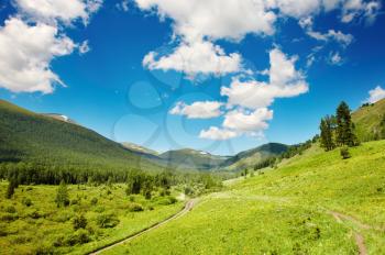 Mountain landscape with forest and blue sky