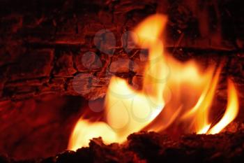 Campfire flames at night closeup