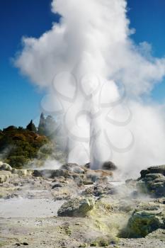 Pohutu Geyser eruption, New Zealand
