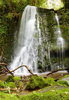 Waterfall in primeval forest, New Zealand
