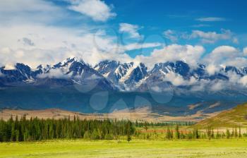 Mountain landscape with forest and blue sky, Altai mountains, Russia