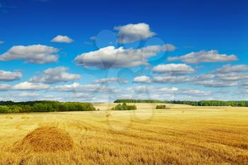 landscape with mowed field and blue sky