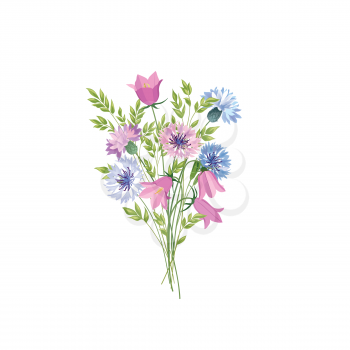 Flowers isolated. Floral summer bouquet. Meadow nature decor with bluebells and  blue cornflowers