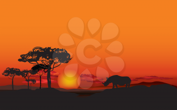 African landscape with animal silhouette. Savanna sunset background.