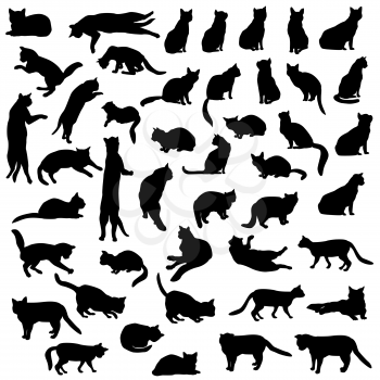 Cats silhouette set. Kitten in different pose