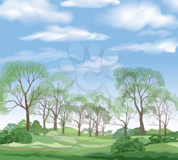 Landscape background, summer trees. Countryside skyline. Park view. Forest and blue sky with clouds.