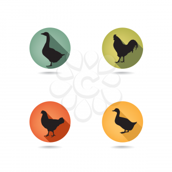 Farm birds silhouette. Poultry silhouettes collection for groceries, restaurant menu or advertising. Vector labels design
