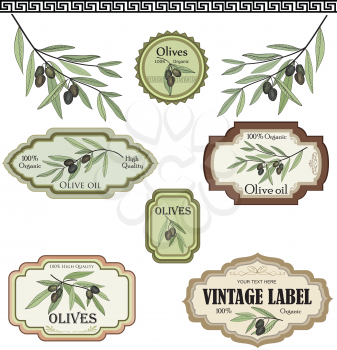 Vintage olive labels set. Organic food colored sketch sign set. Mediterranean cuisine sticker collection