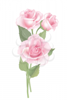 Flower rose posy isolated on white background