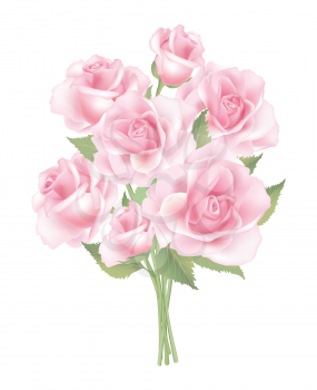 Flower rose posy isolated on white background