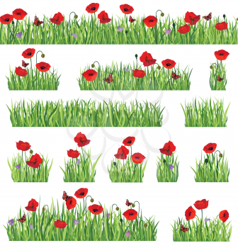 Grass border background set. Summer icon and seamless floral frame collection.