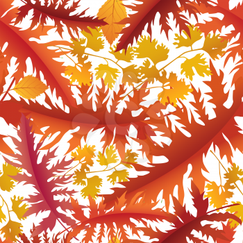 Fall leaf nature Autumn leaves seamless background Season floral pattern