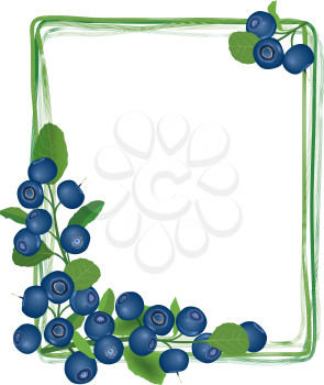 Blueberry branch frame. Berry floral background. Summer food decor