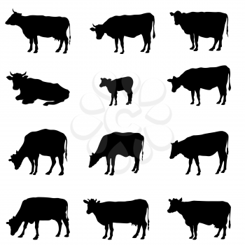 Cow set. Livestock silhouettes. Farm animal sign collection.