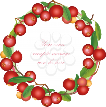 Cranberry summer frame. Berry background. Floral nature food pattern
