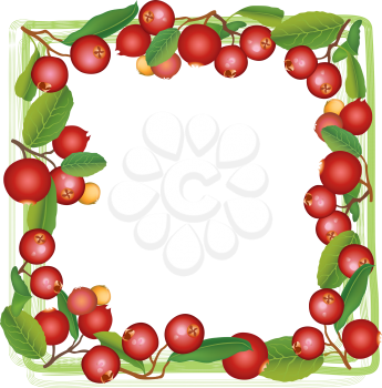 Cranberry summer frame. Berry background. Floral nature food pattern