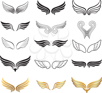 Wings Set. Stylish wild birds sign collection