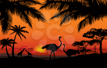African landscape with animal silhouette. Savanna sunset skyline background.
