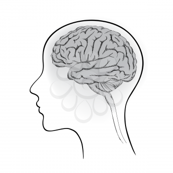 Female brain. Think icon concept. Vector sketch illustration. 
