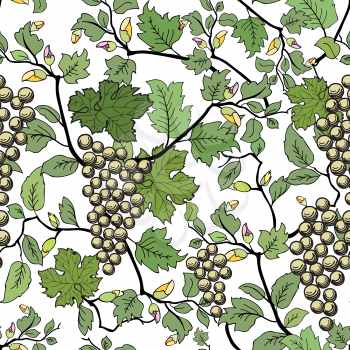 Floral seamless background with grape branch. Decorative flower and fruit pattern.