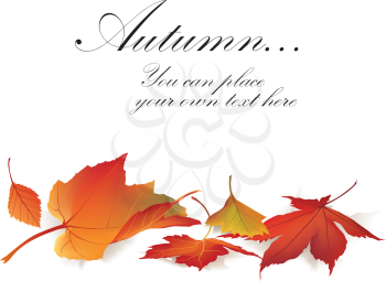 Fall leaf nature banner. Autumn leaves background. Season floral horizontal wallpaper