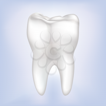Tooth isolated. Teeth white sign. Dental medical illustration.