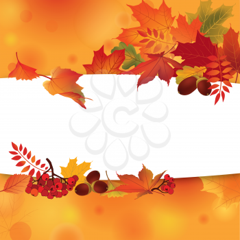 Autumn frame. Fall leaves and berries. Nature floral background. Floral seasonal leaf wallpaper
