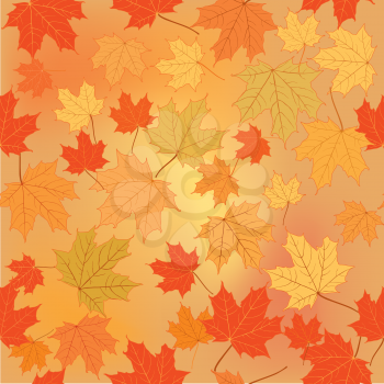 Fall leaf nature Autumn leaves background Season floral pattern