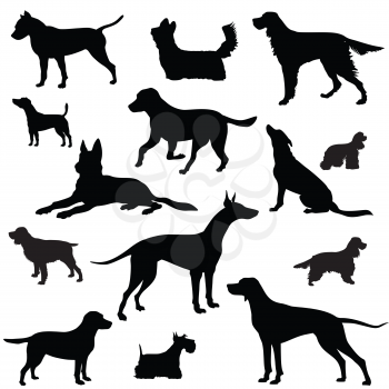 Dog set. pet sign collection. Animal vector silhouette