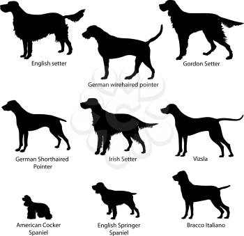 Dog icon set. Gun dogs vector illustration. Silhouette Collection of gundog.
