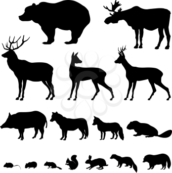 Animals living in european forest. Vector icon set of silhouette.