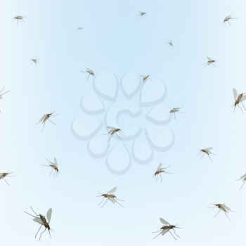 Mosquitoes on blue sky background. Incest pattern.