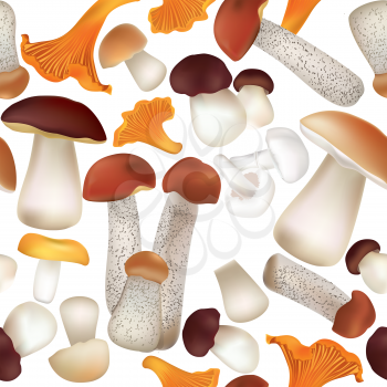 Mushroom seamless pattern. Boletus Food. Nature background