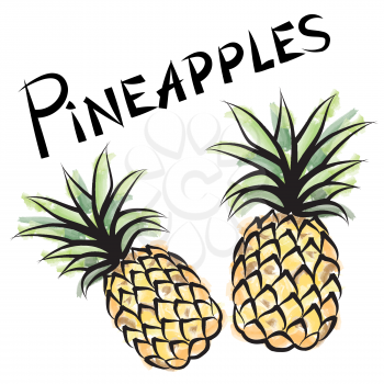 Pineapple isolated. Fruit label set. Hand drawn watercolor vector illustration.