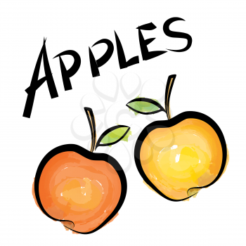 Apples isolated. Fruit apple label. Hand drawn watercolor set. vector collection.