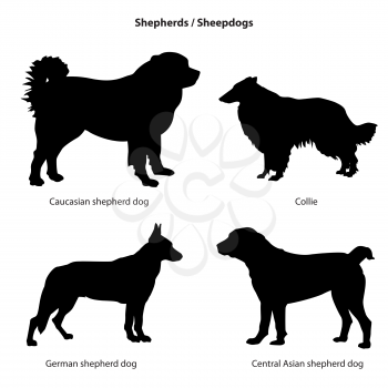 Dog breed silhouette. Pet icon set Sheped dog collection. Sheedogs