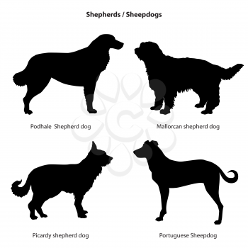Dog breed silhouette. Pet icon set Sheped dog collection. Sheedogs